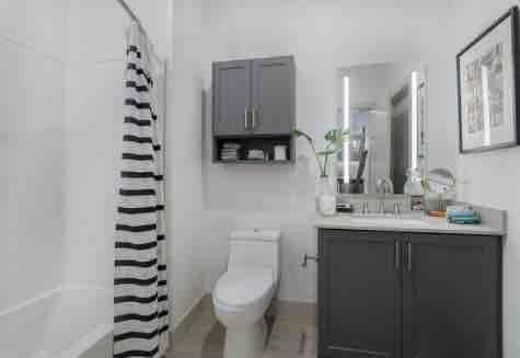 One bedroom apartment for rent, Oxford RoomsLocal image