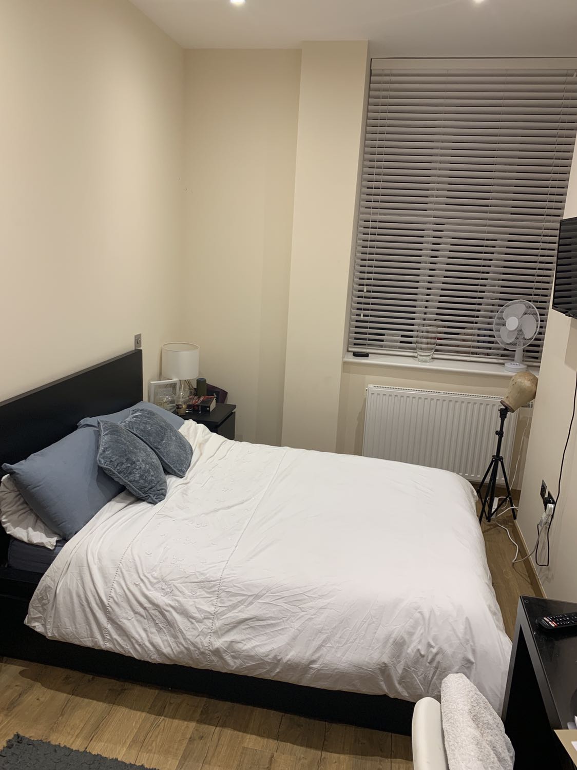 Beautiful Large Double Room