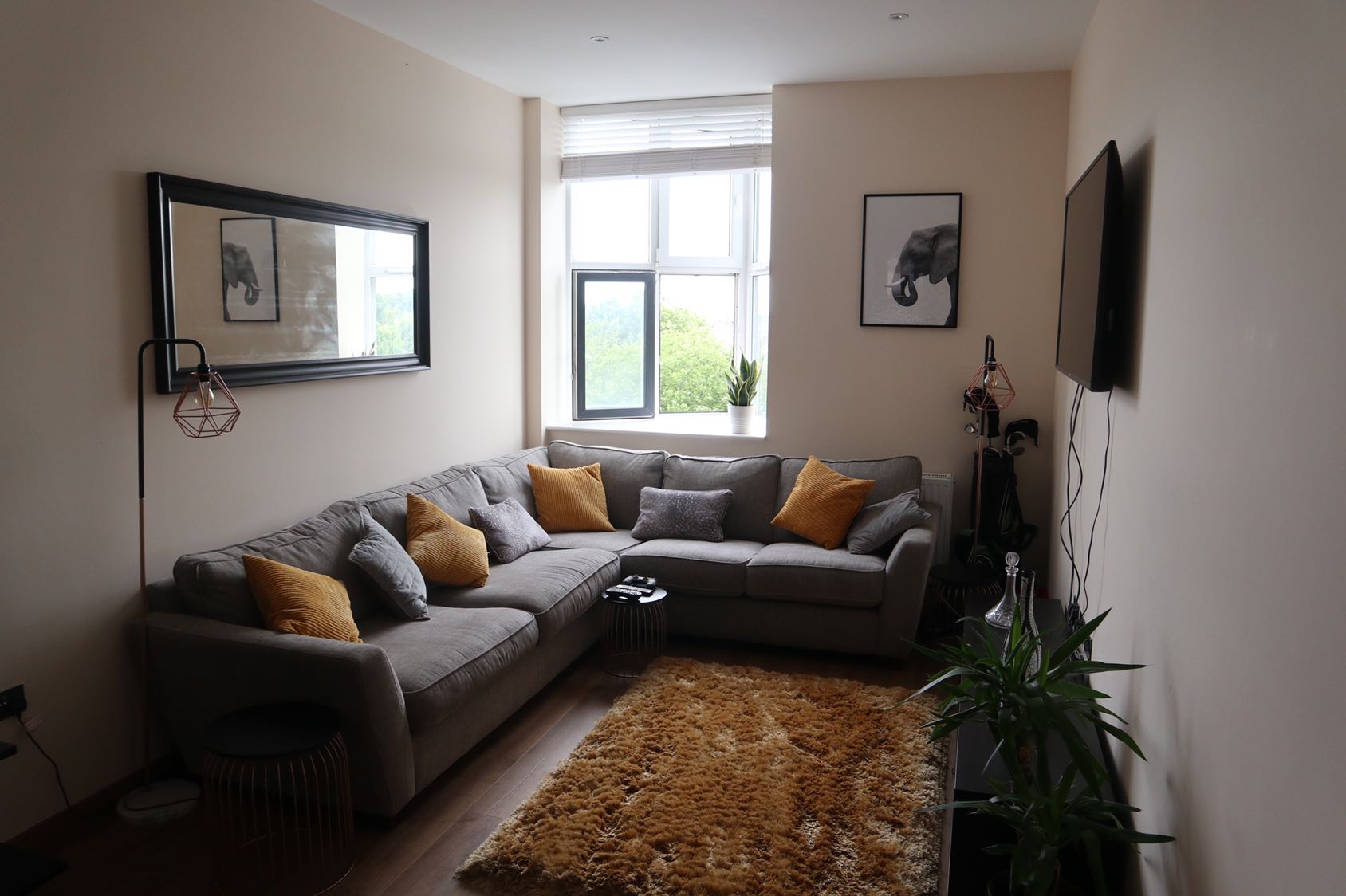 Beautiful Large Double Room, London RoomsLocal image