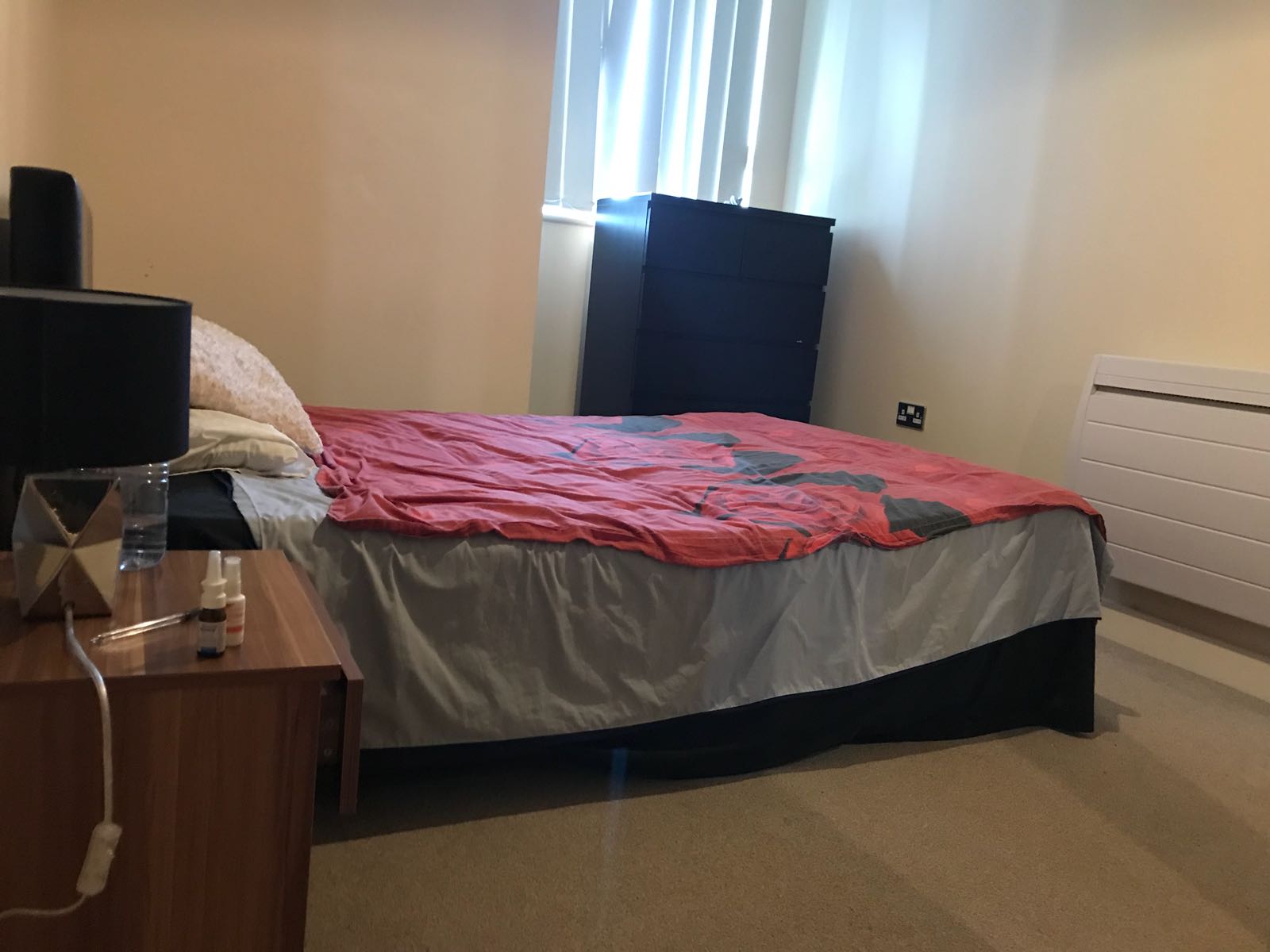 Stunning Room to Rent image