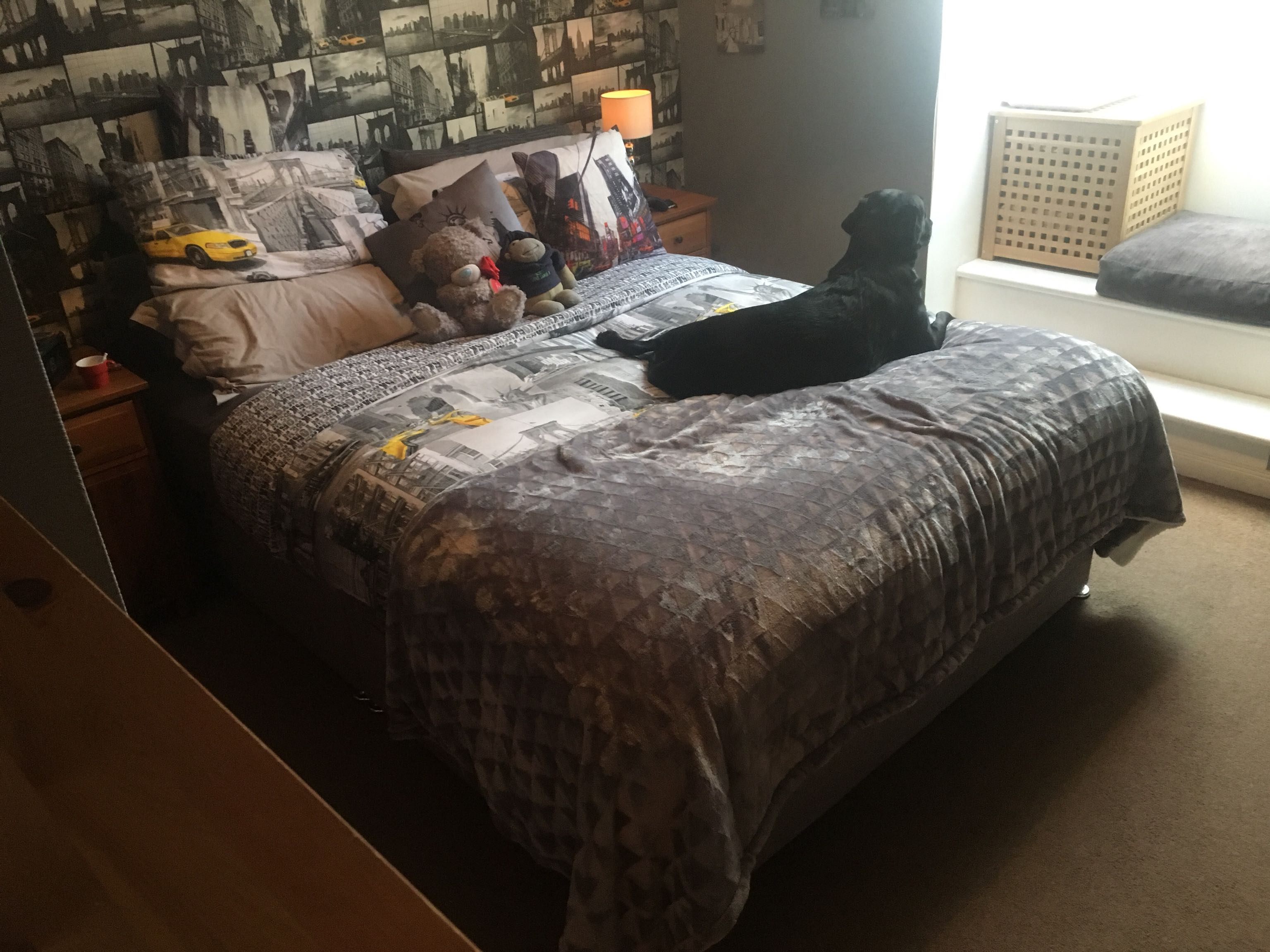  RoomsLocal image