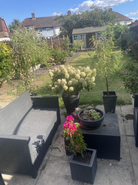 1 room in London, KT3 3EH RoomsLocal image