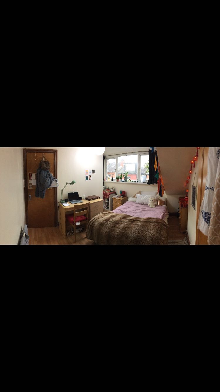 STUDENT DOUBLE BED HYDE PARK  image