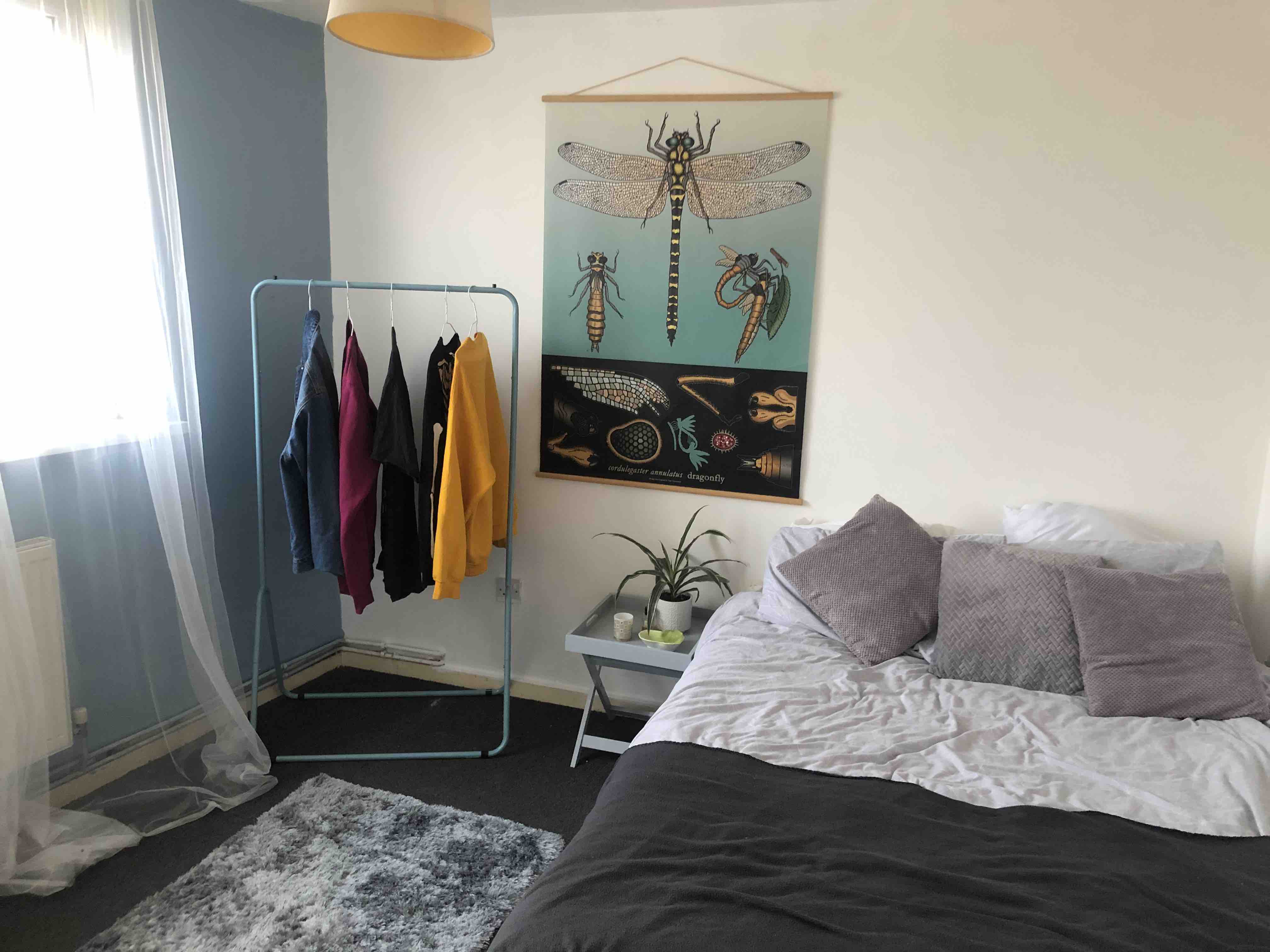 lgbt friendly double room RoomsLocal image
