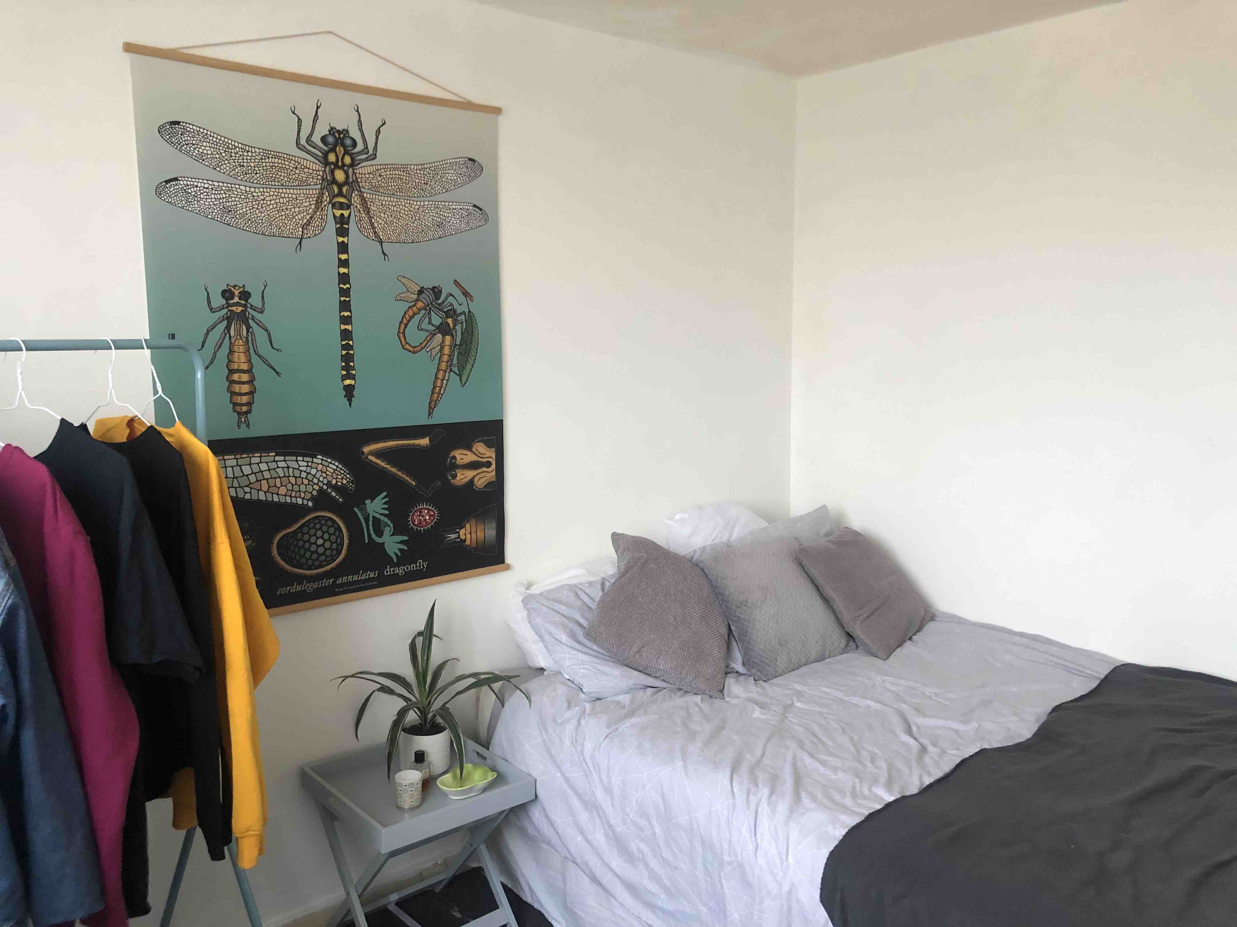 lgbt friendly double room RoomsLocal image