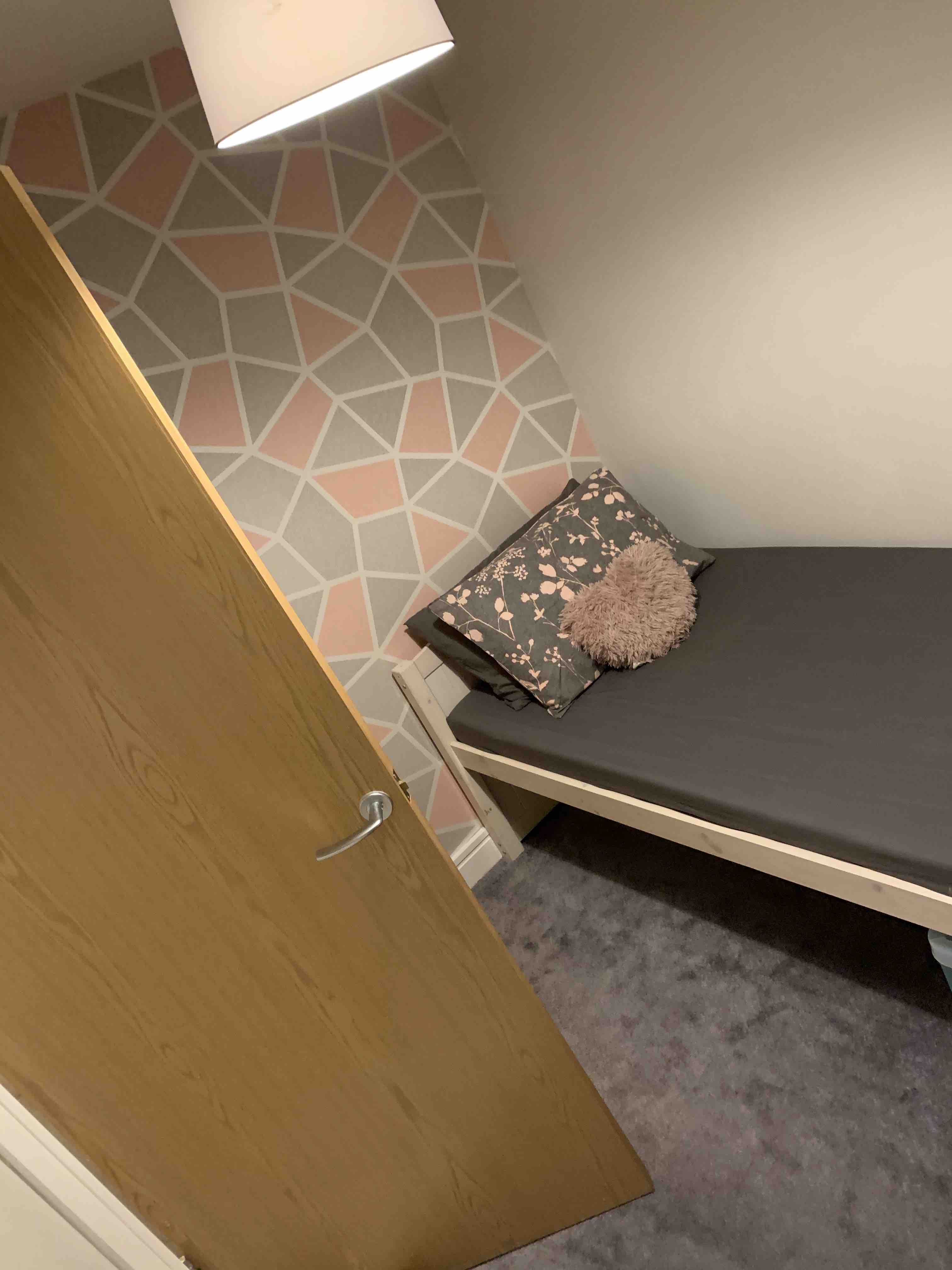 1 room in Newton Abbot, TQ126GR
