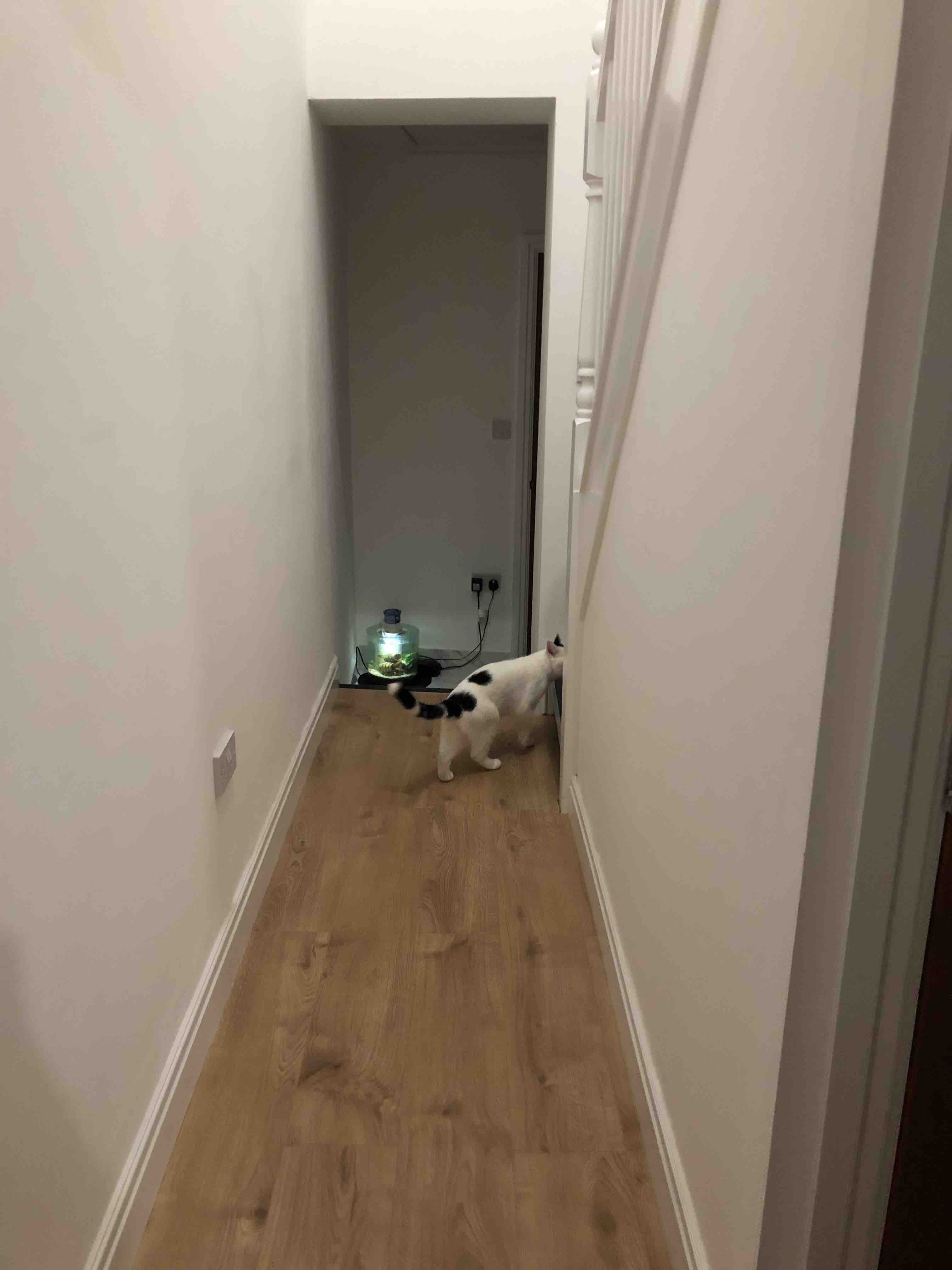 1 bedroom in Shared flat RoomsLocal image