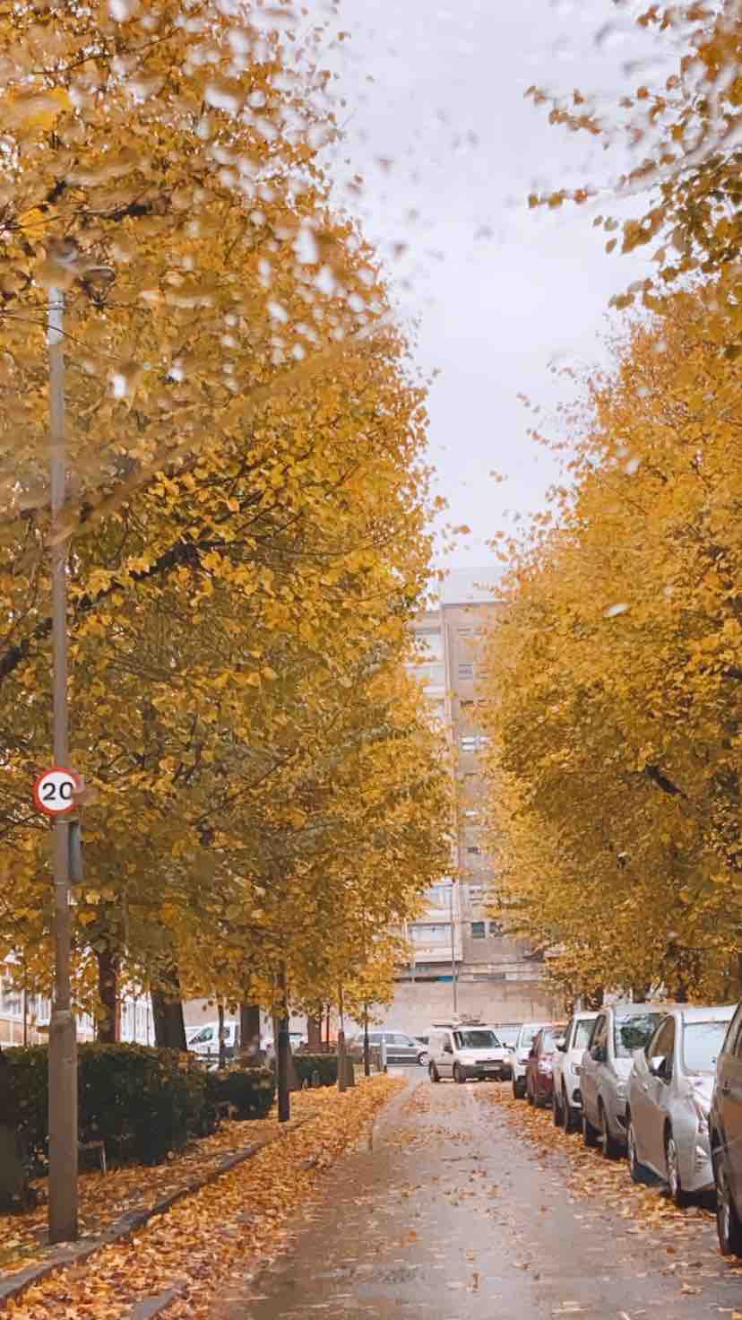 2 RoomsLocal image