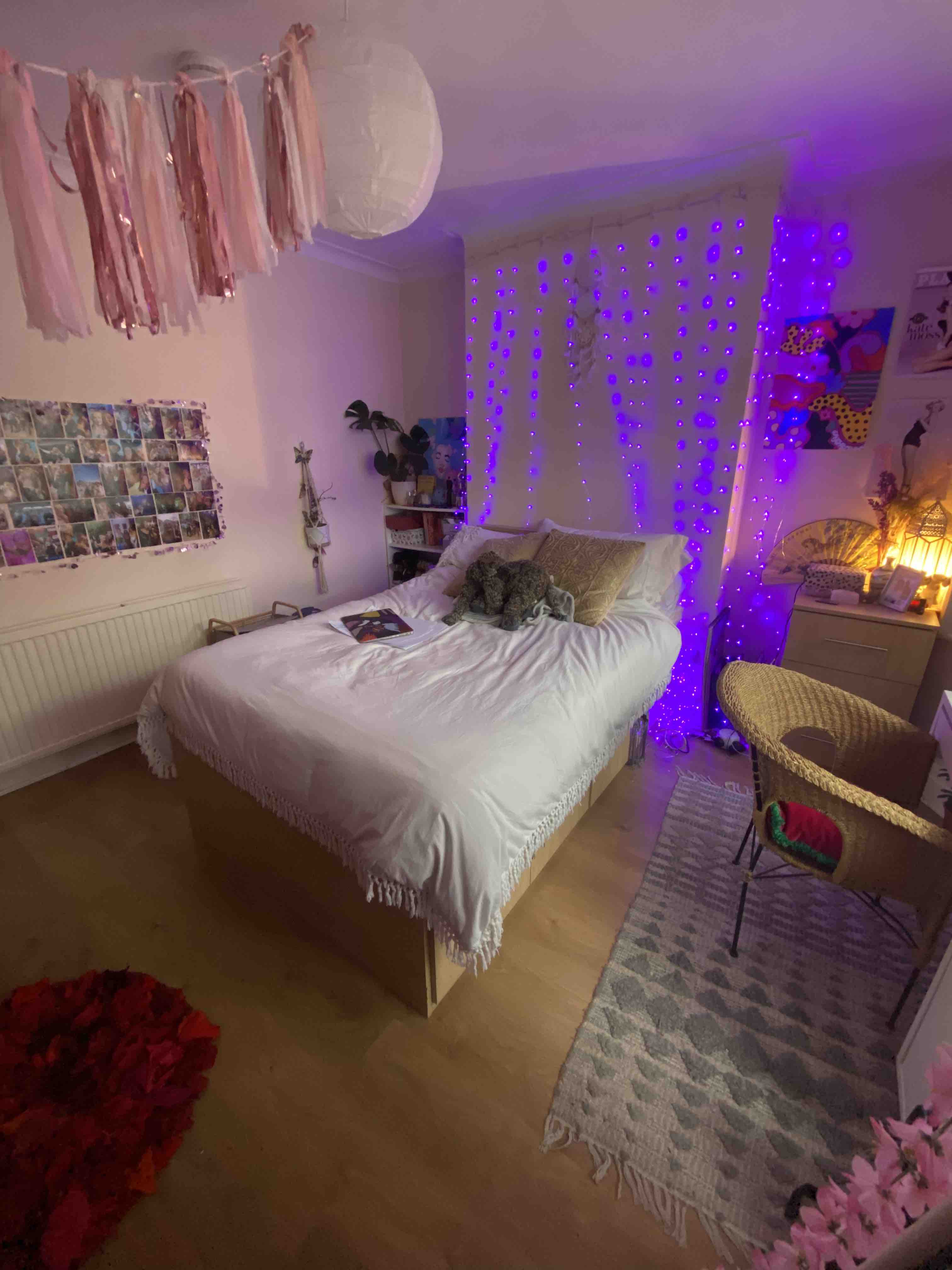 to start asap and finish june, Manchester RoomsLocal image